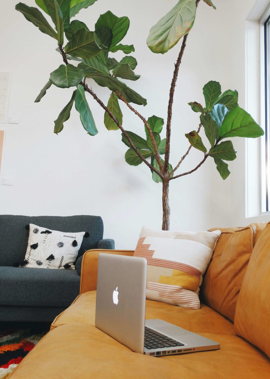 Comfortable therapy setup with laptop and plant